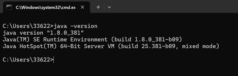 image-20250728201622742